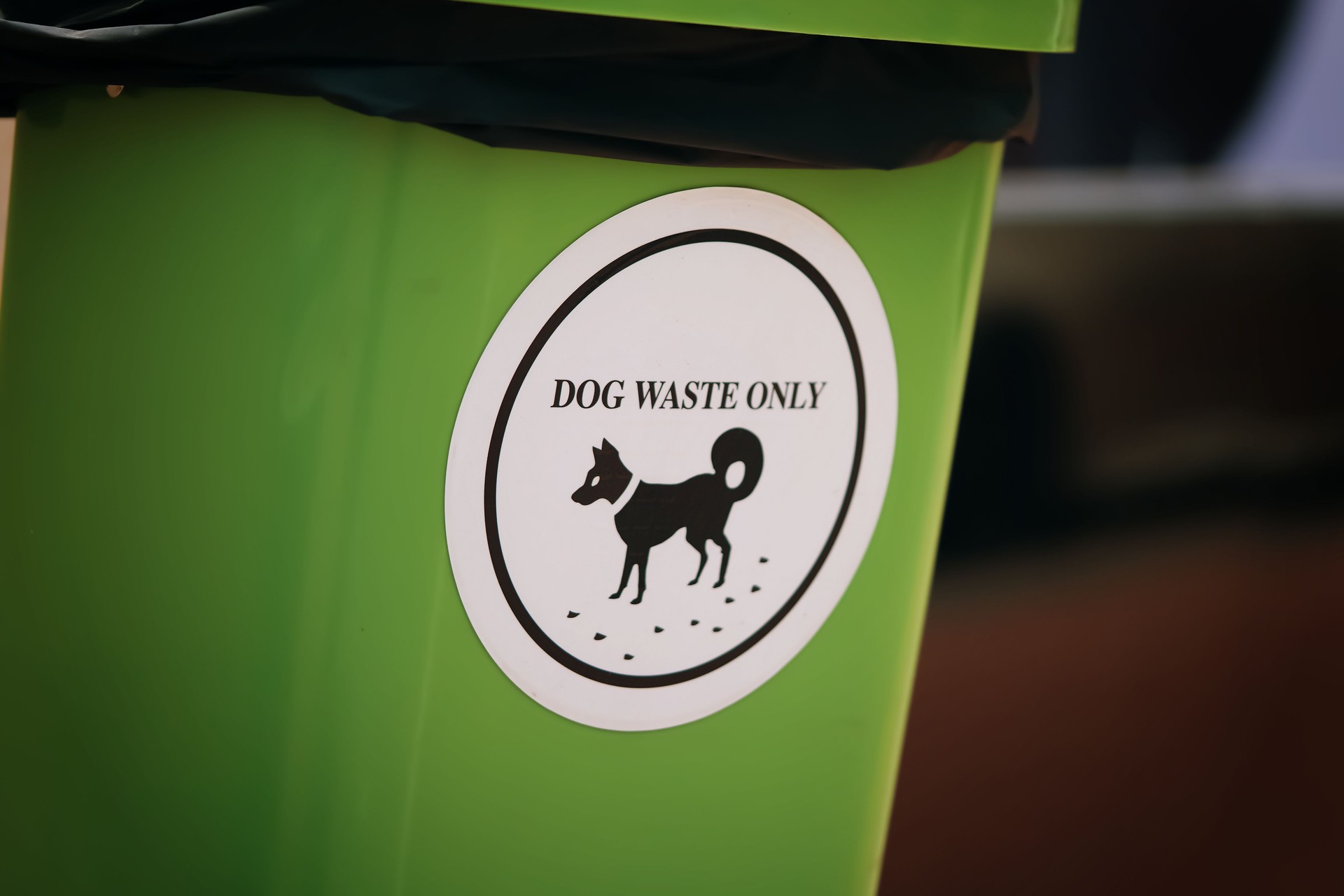 Green recycle bin for dog waste only